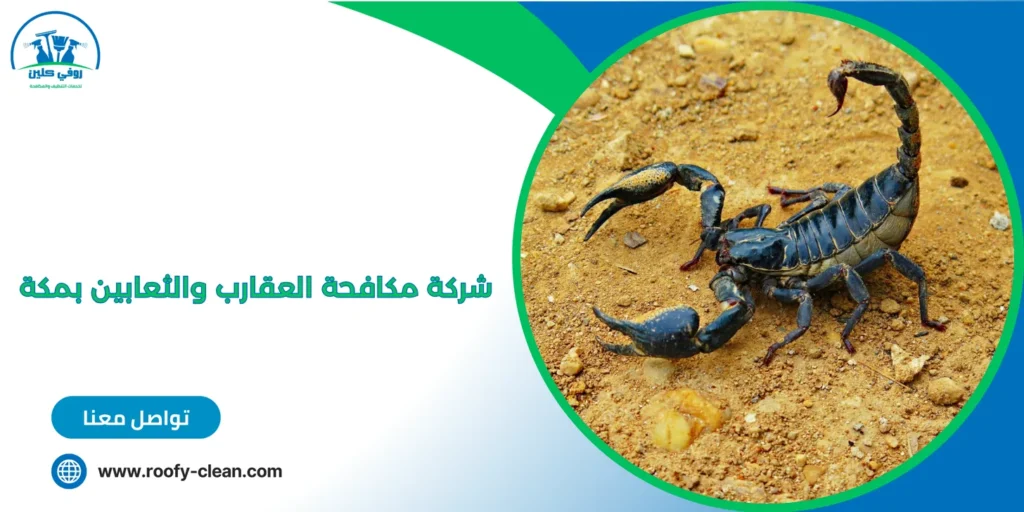 شركة مكافحة العقارب والثعابين بمكة