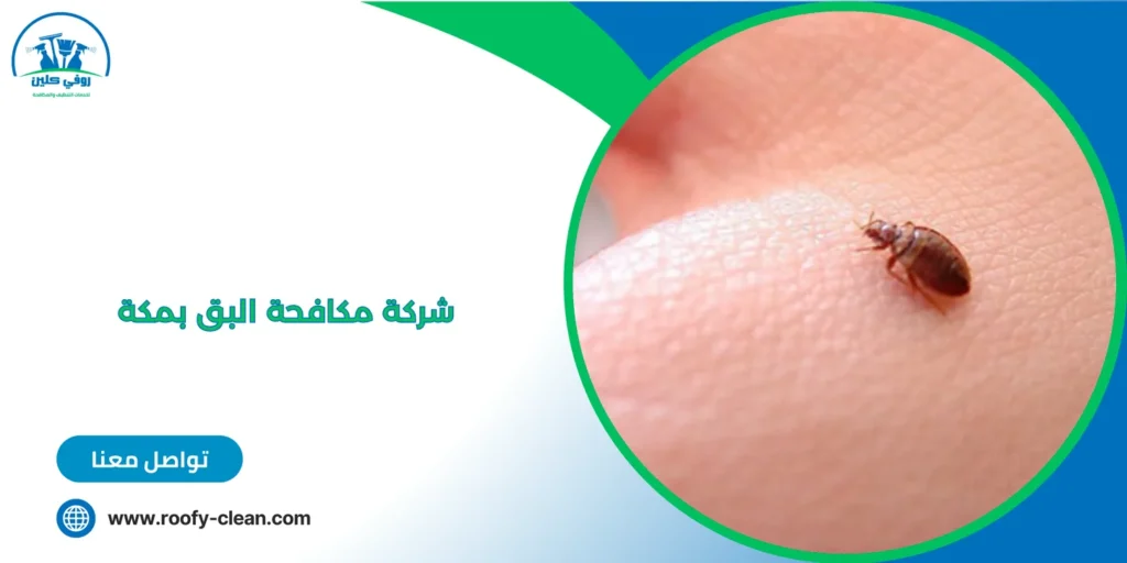 شركة مكافحة البق بمكة 