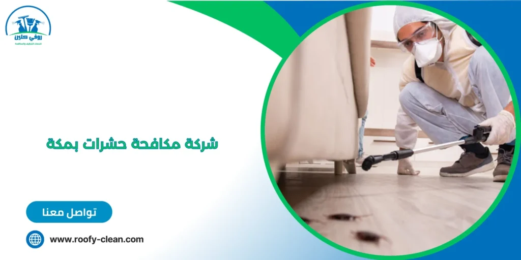 شركة مكافحة حشرات بمكة 