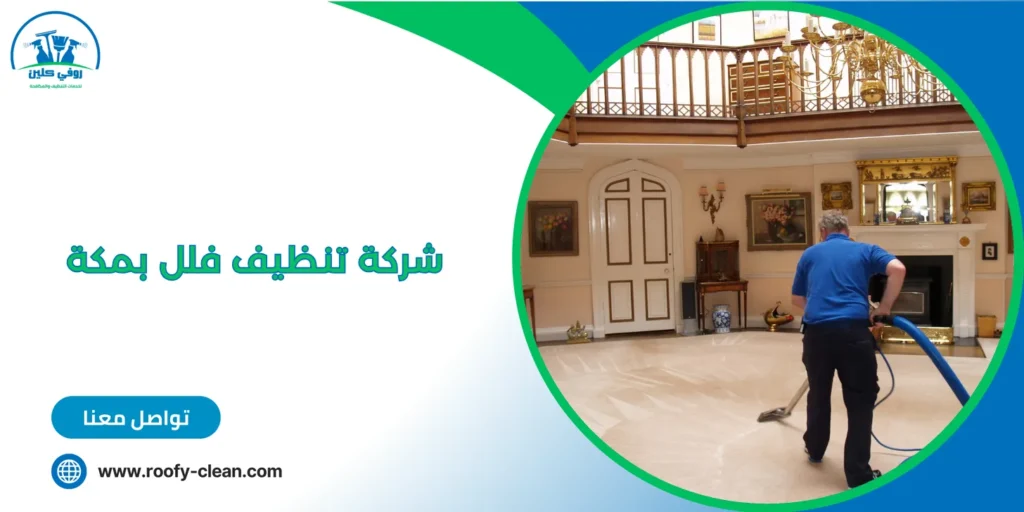 شركة تنظيف فلل بمكة