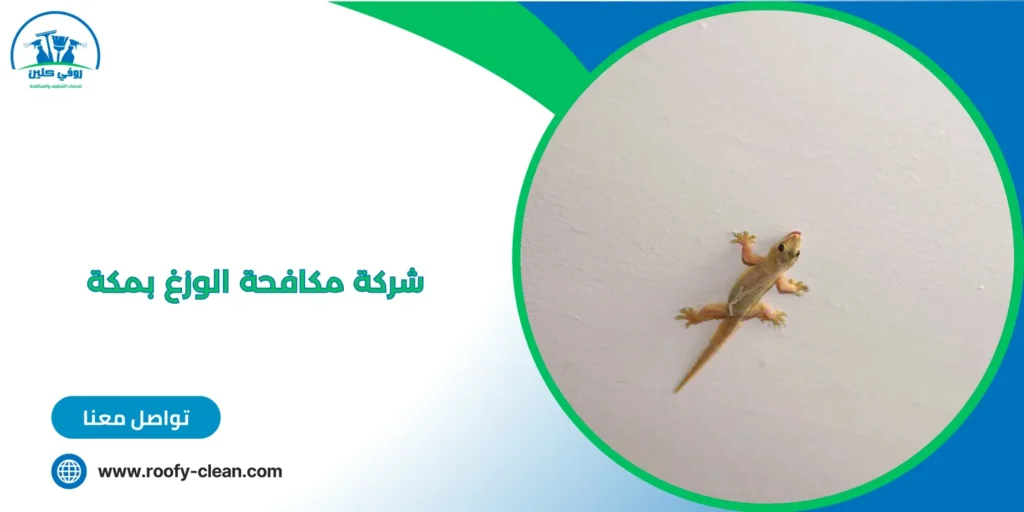 شركة مكافحة الوزغ بمكة