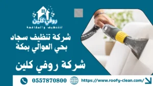 شركة تنظيف سجاد بحي العوالي بمكة