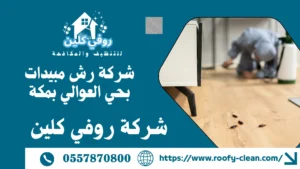 شركة رش مبيدات بحي العوالي بمكة