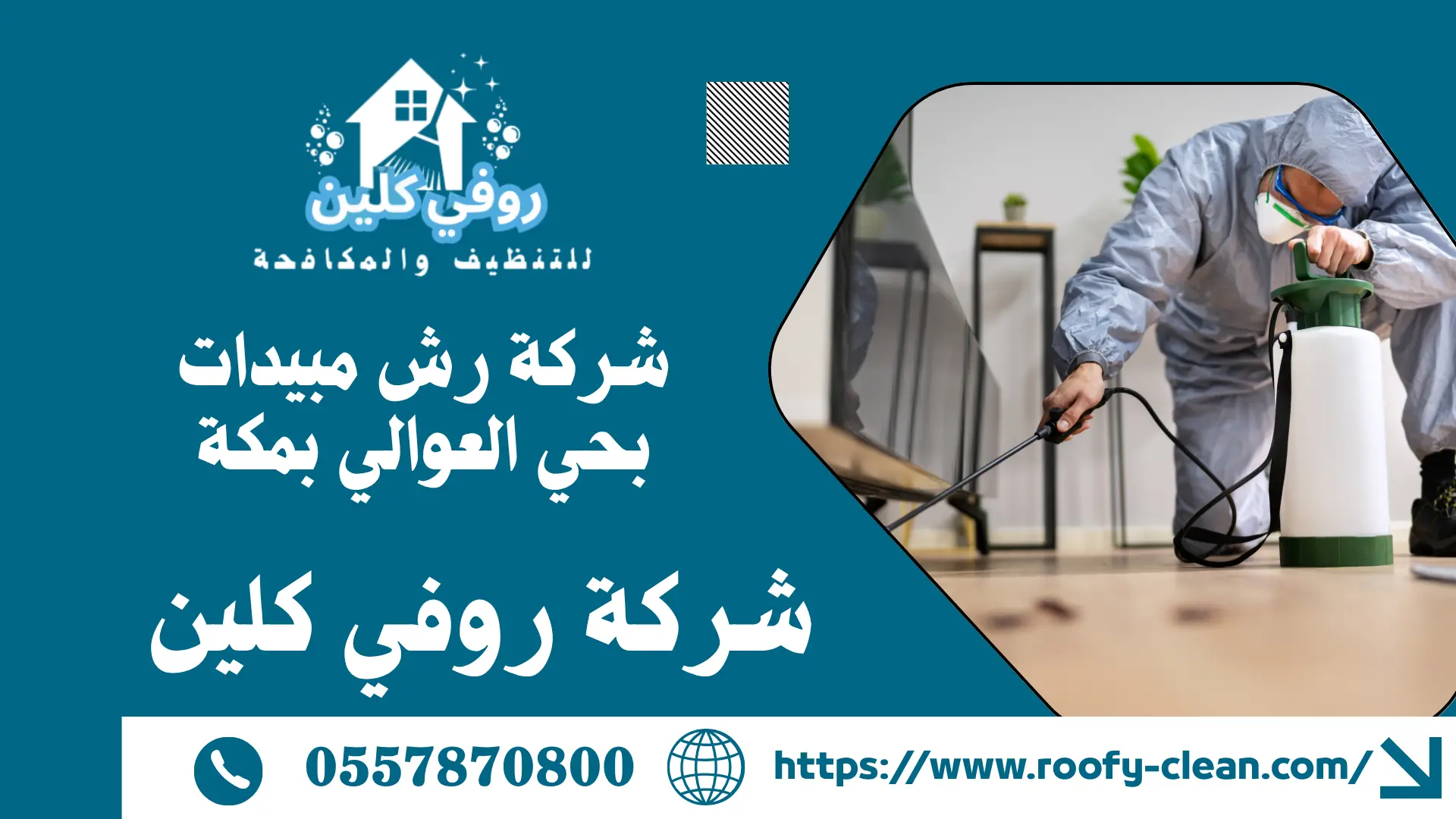 شركة رش مبيدات بحي العوالي بمكة