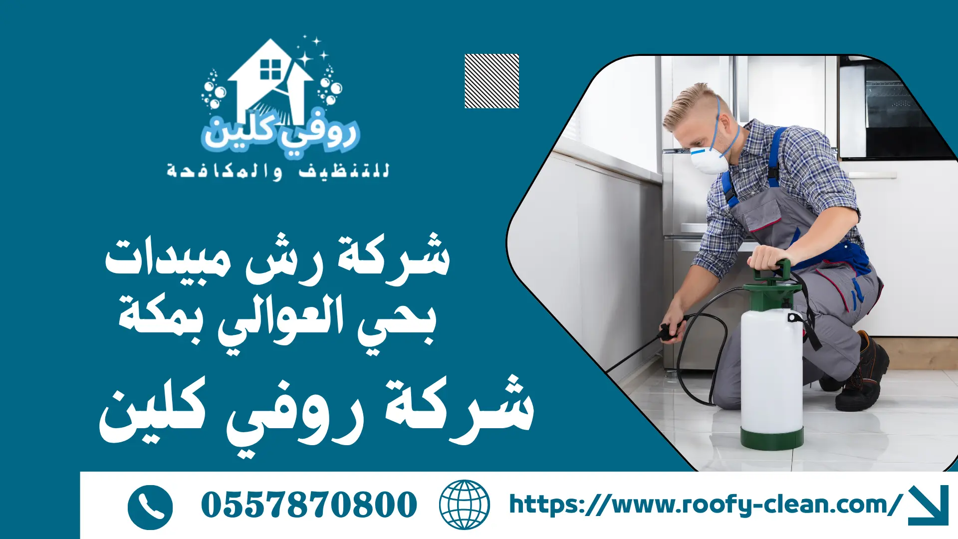 شركة رش مبيدات بحي العوالي بمكة